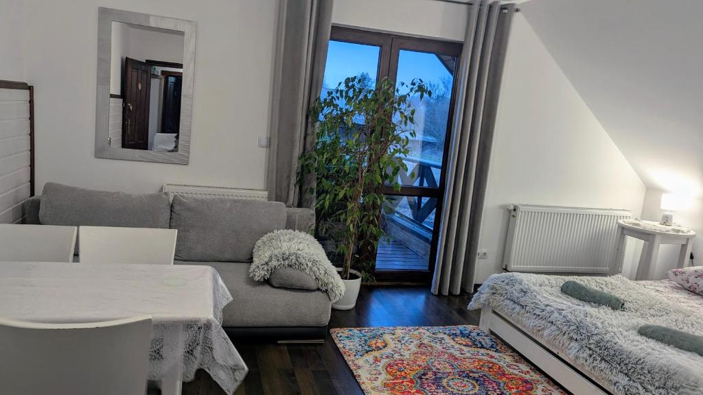 Pokój 2 - sofa i lustro - Sosnowa Polana Białowieża
